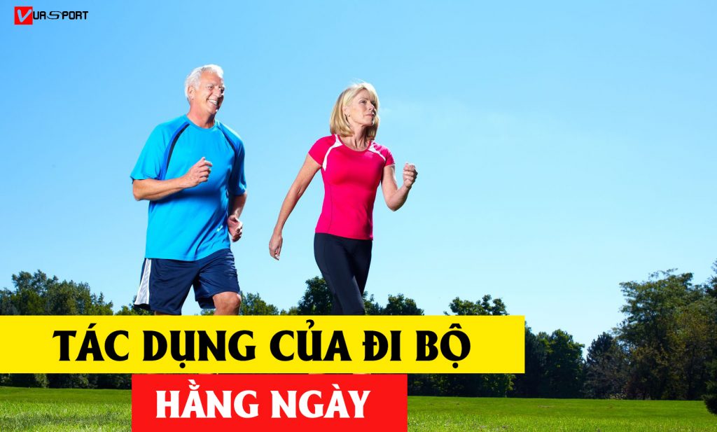 di-bo-co-tac-dung-gi-vuasport.vn